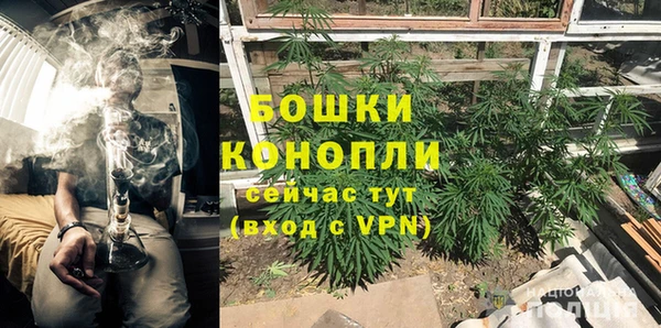 тгк Гусь-Хрустальный