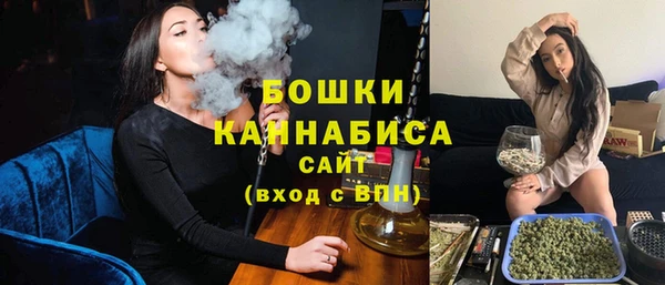 тгк Гусь-Хрустальный